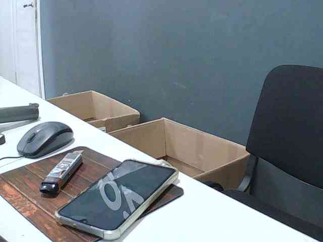 DarinaX webcam