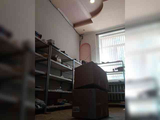DarinaX webcam
