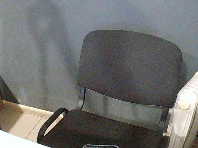 DarinaX webcam