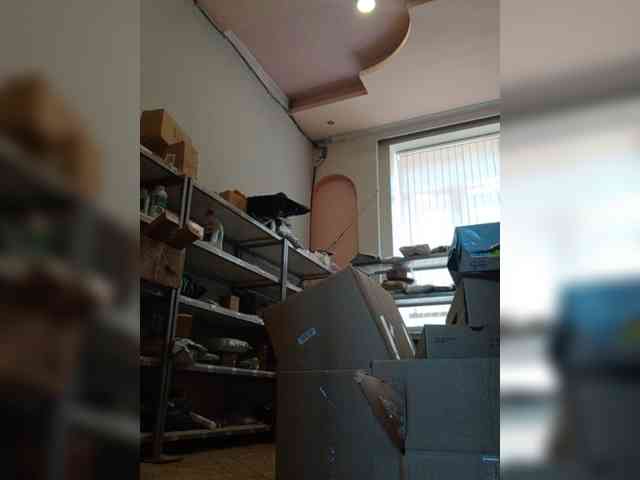 DarinaX webcam
