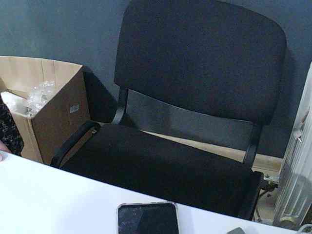 DarinaX webcam