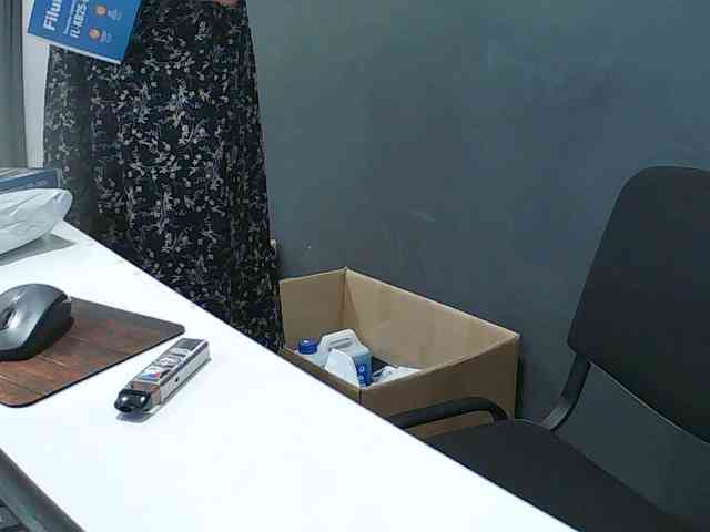 DarinaX webcam