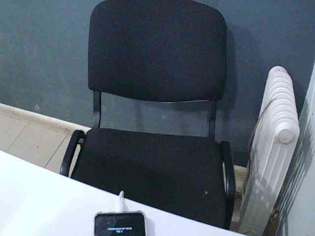 DarinaX webcam