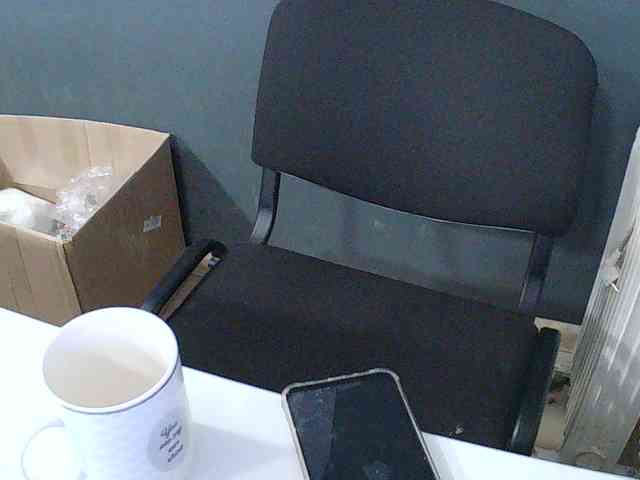 DarinaX webcam