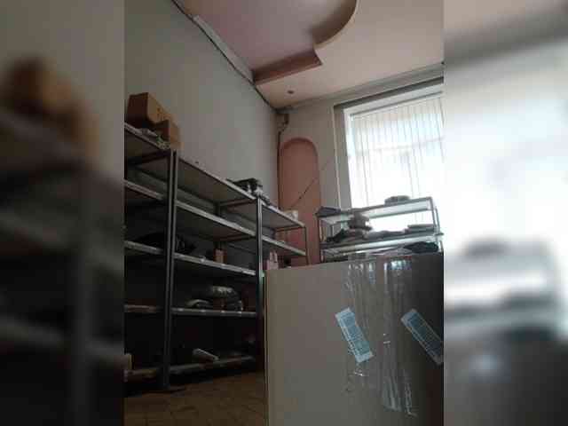 DarinaX webcam