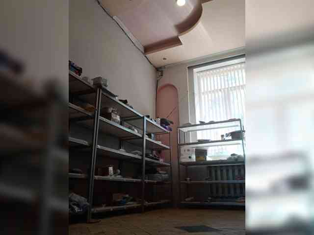 DarinaX webcam