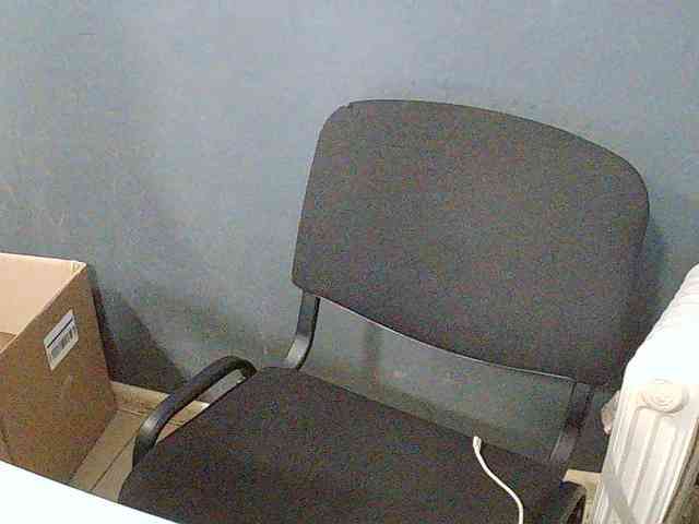 DarinaX webcam