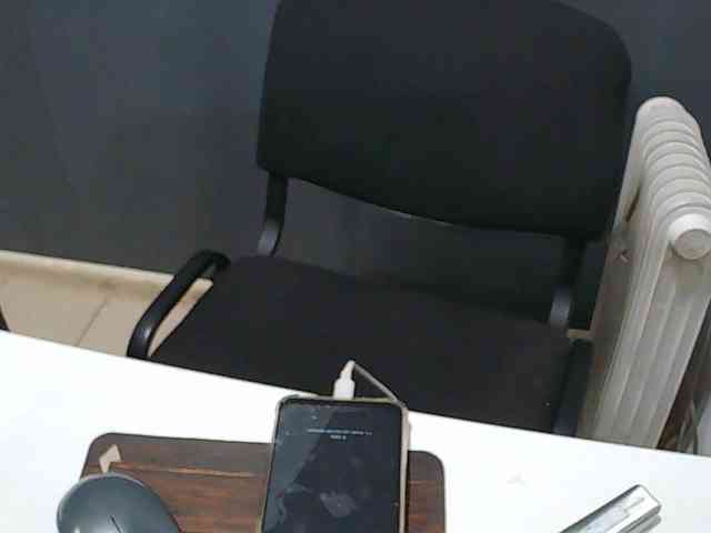 DarinaX webcam