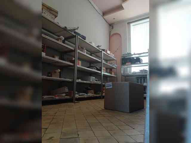 DarinaX webcam