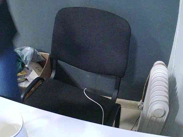 DarinaX webcam