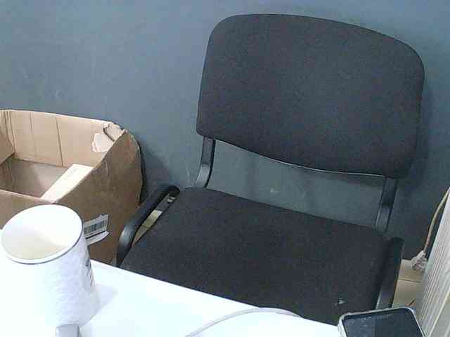 DarinaX webcam