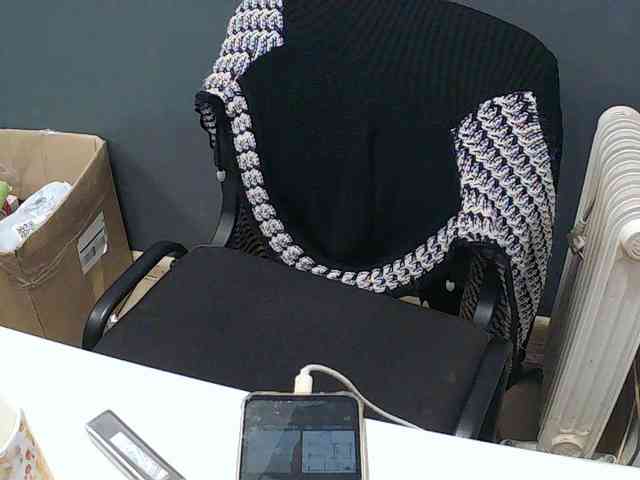 DarinaX webcam