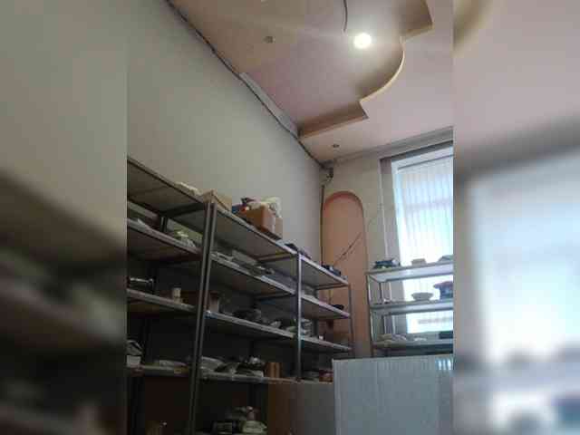 DarinaX webcam
