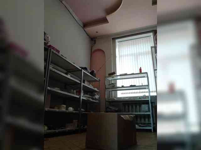 DarinaX webcam
