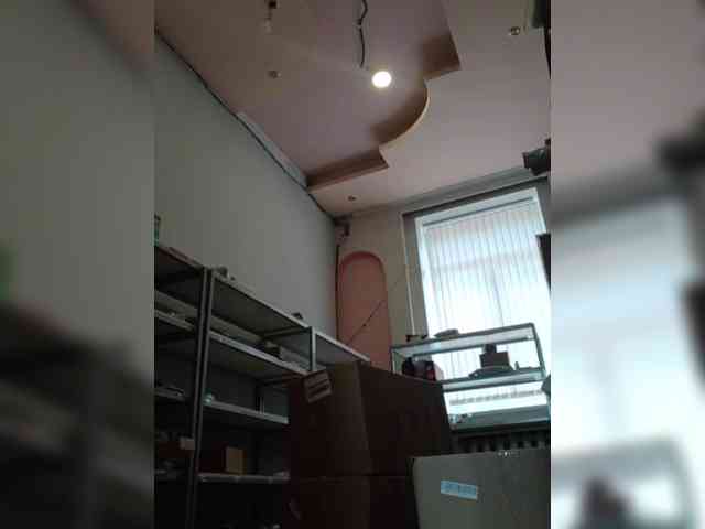 DarinaX webcam
