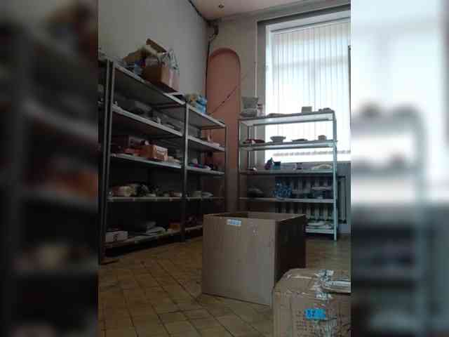 DarinaX webcam
