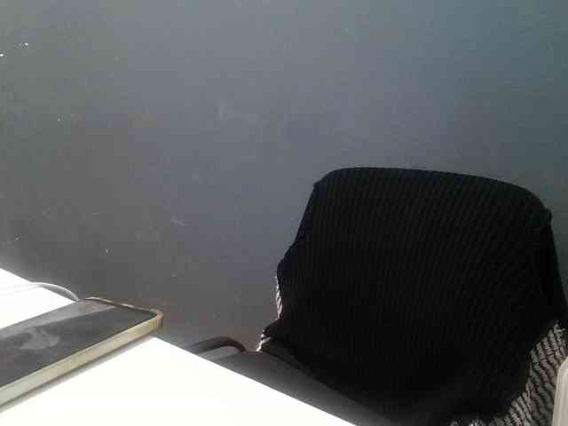 DarinaX webcam