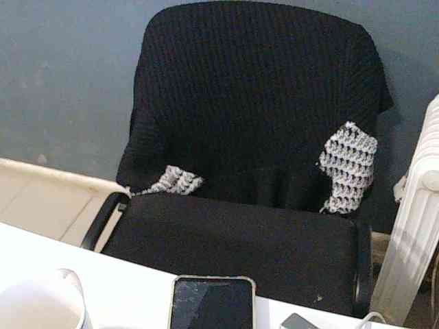 DarinaX webcam