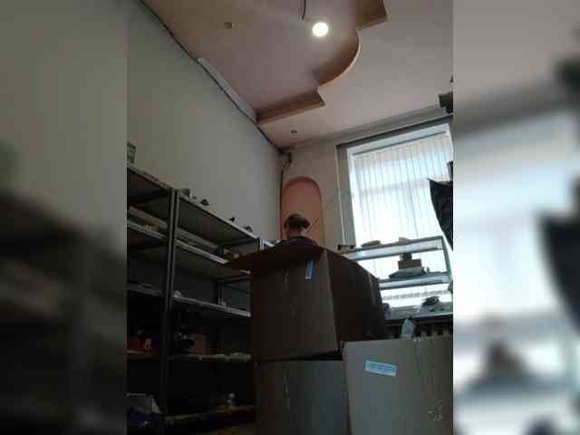 DarinaX webcam