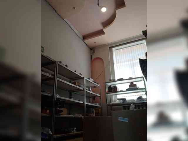 DarinaX webcam