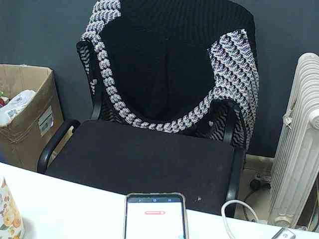 DarinaX webcam