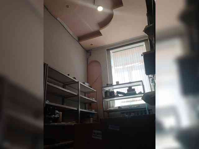 DarinaX webcam