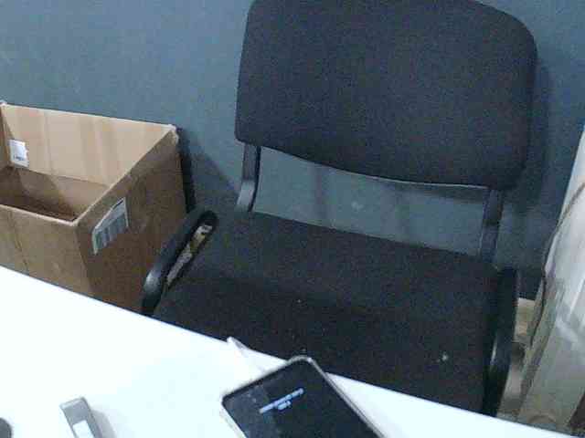 DarinaX webcam