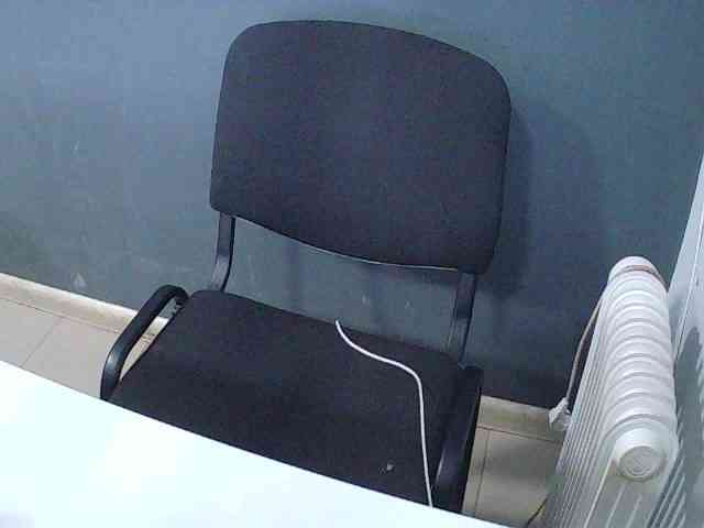 DarinaX webcam