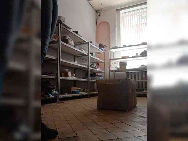 DarinaX webcam
