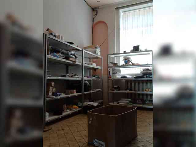 DarinaX webcam