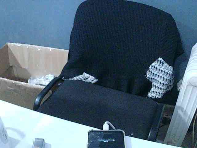 DarinaX webcam