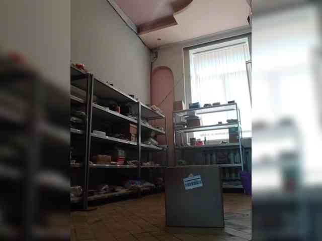 DarinaX webcam