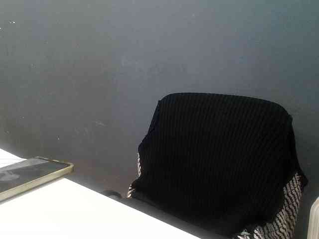 DarinaX webcam