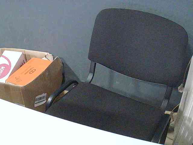 DarinaX webcam