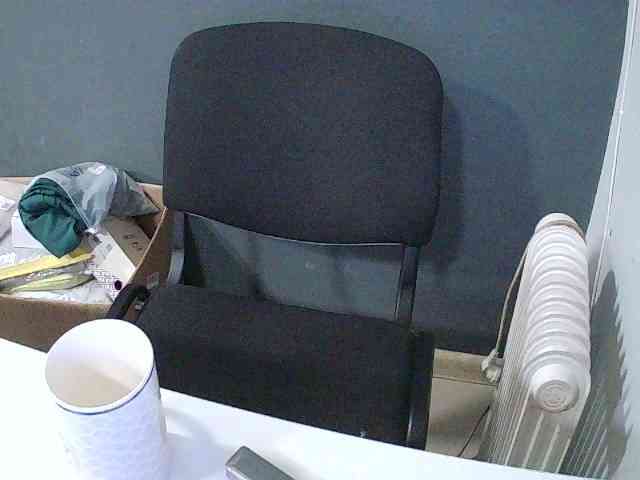 DarinaX webcam