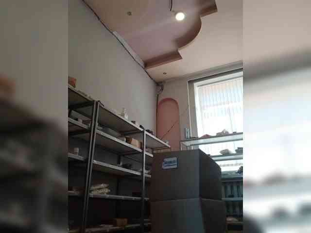 DarinaX webcam