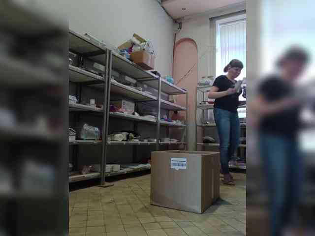 DarinaX webcam