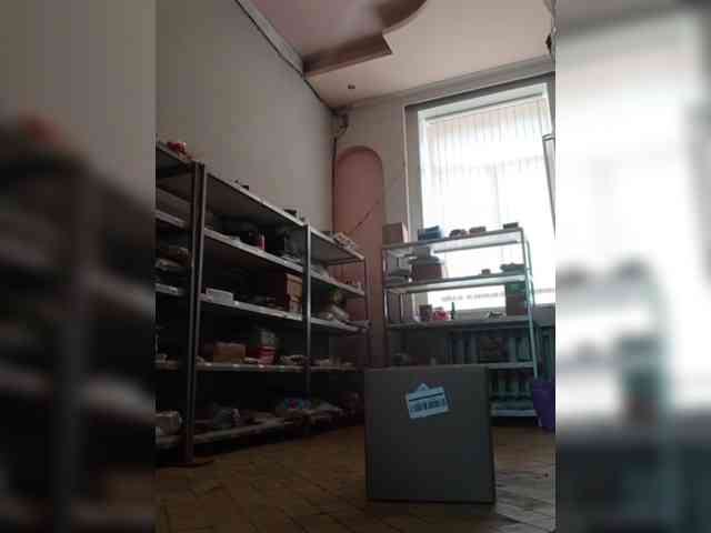 DarinaX webcam