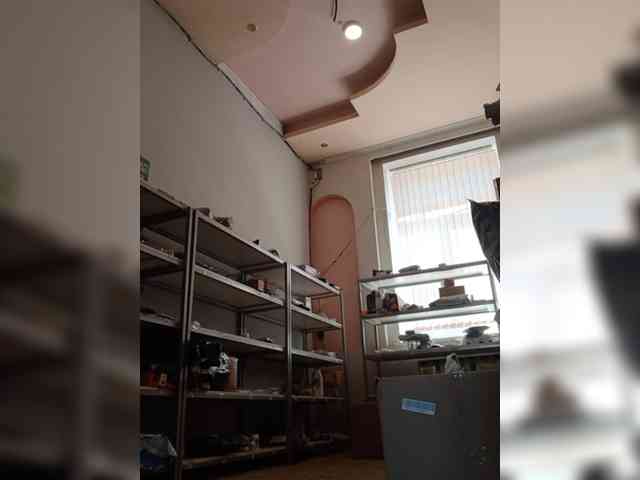 DarinaX webcam