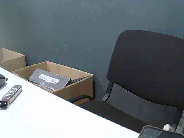 DarinaX webcam