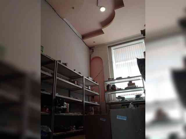 DarinaX webcam