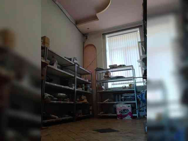 DarinaX webcam