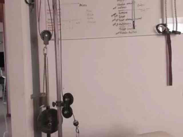 Saramiranda webcam