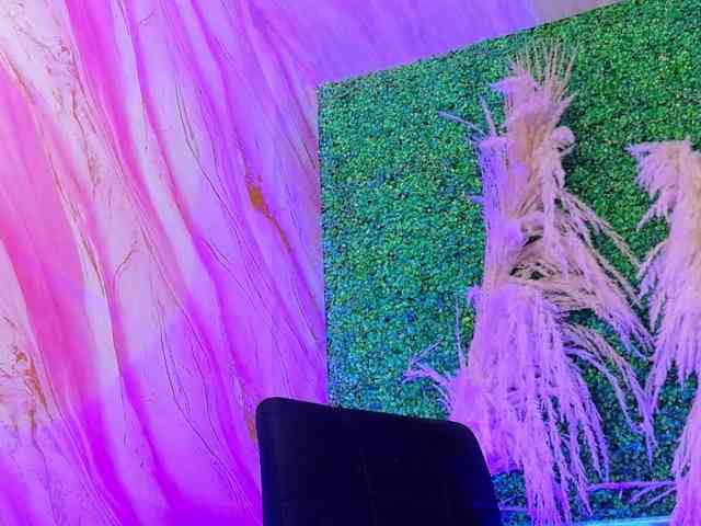 luxy-ary Sex Cam Show