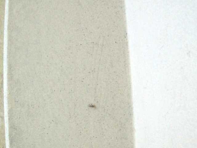 Bikrom1999