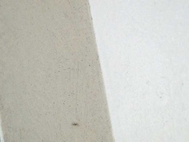 Bikrom1999