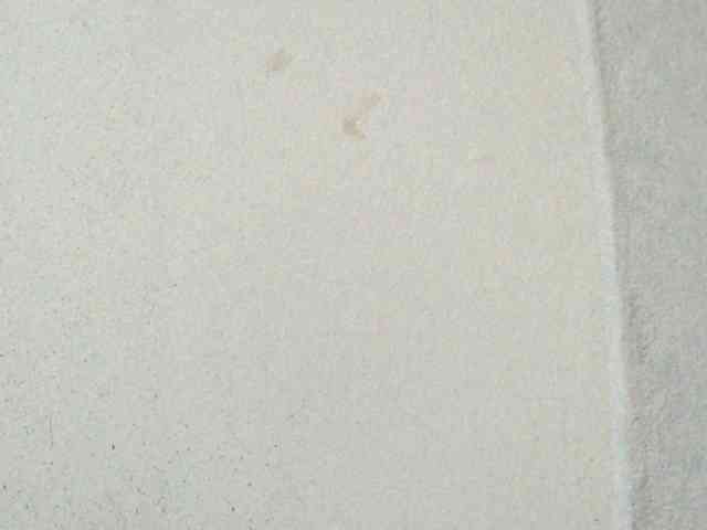 Bikrom1999 Live Webcam on BongaCams