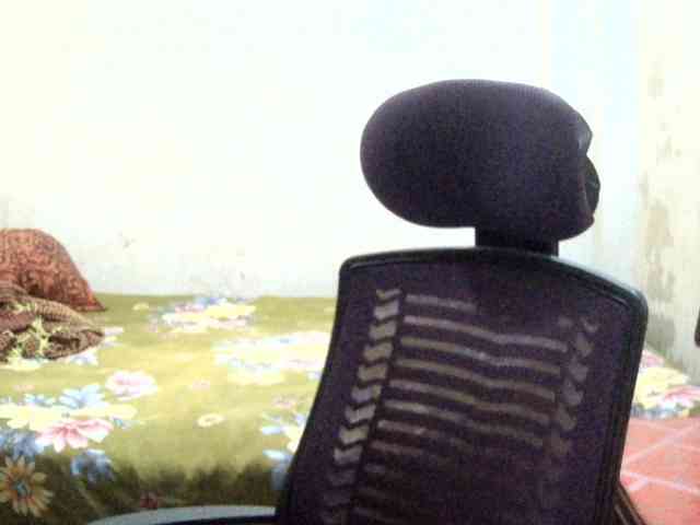 Bikrom1999