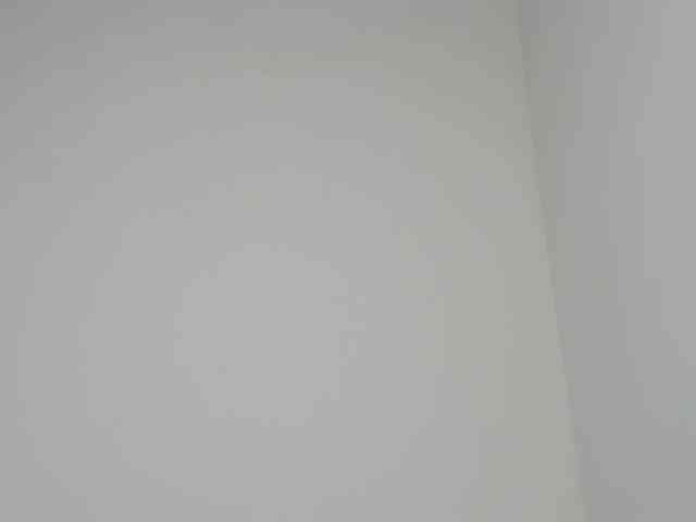 Ebony-Doll webcam