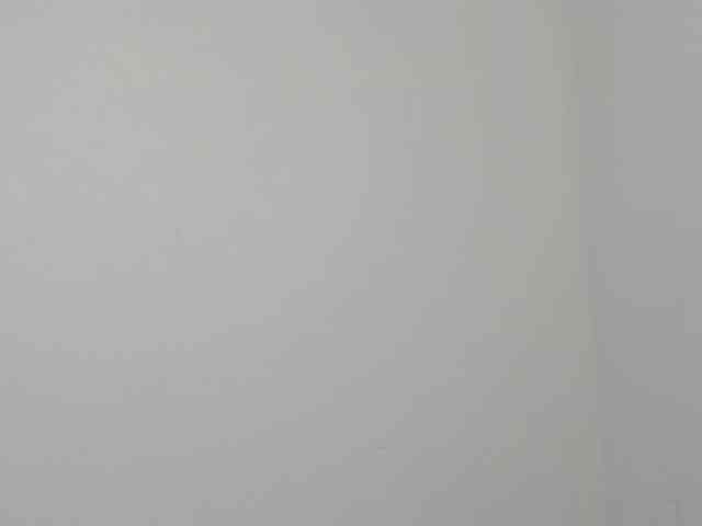 Ebony-Doll webcam